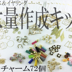 送料無料 ピアス イヤリング 20個以上 作成 キット チャーム 72個 セット パーツ　スターターキット　AP0253 1枚目の画像