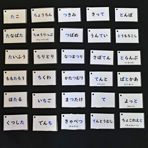 他言語カードたくさん さ行・た行のことばカード 全60枚 おもちゃ・人形 C&T数とことばの