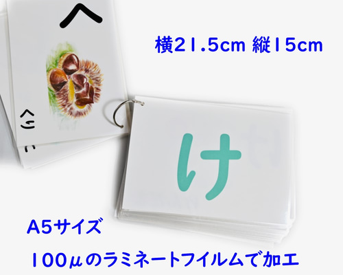 ひらがなカード ひらがなカード（50音）［フラッシュカード］ 無料ダウンロード