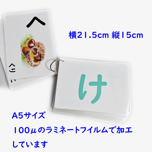 大きなひらがなのフラッシュカード A5サイズ （横21.5cm 縦15cm