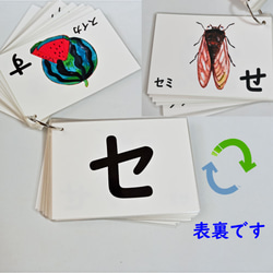 紫音◆ハガキサイズ Amazon | バイクパーツセンター(Bike Parts Center) ライブDio