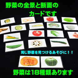 野菜カード(18種類）　断面は　モンテッソーリにも　小学校受験にも 1枚目の画像