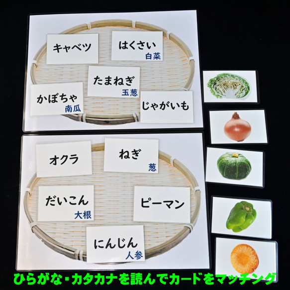 野菜カード(18種類）　断面は　モンテッソーリにも　小学校受験にも 2枚目の画像