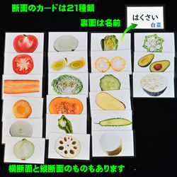 野菜カード(18種類）　断面は　モンテッソーリにも　小学校受験にも 4枚目の画像
