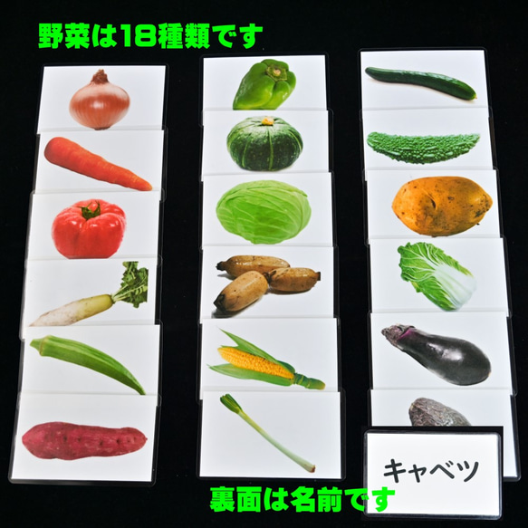 野菜カード(18種類）　断面は　モンテッソーリにも　小学校受験にも 5枚目の画像