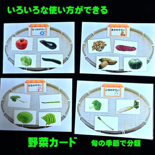 野菜カードセット(30種類） 小学校受験にも 生活科の学習にも