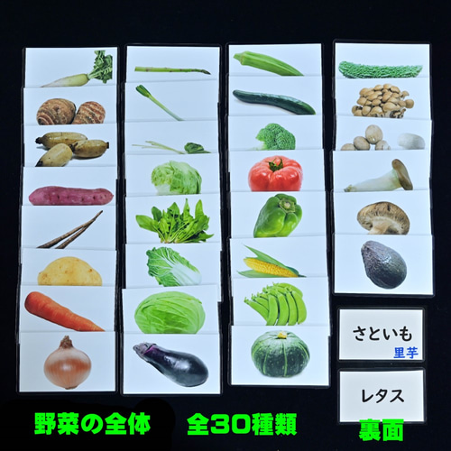 野菜カードセット(30種類） 小学校受験にも 生活科の学習にも