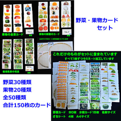 果物カードセット＆野菜(きのこ)カードセット　全50種類　生活科に　理科に　小学校受験に 1枚目の画像