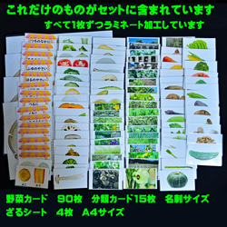 果物カードセット＆野菜(きのこ)カードセット　全50種類　生活科に　理科に　小学校受験に 2枚目の画像