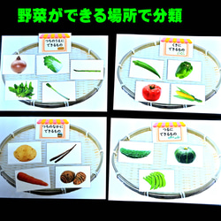 果物カードセット＆野菜(きのこ)カードセット　全50種類　生活科に　理科に　小学校受験に 4枚目の画像