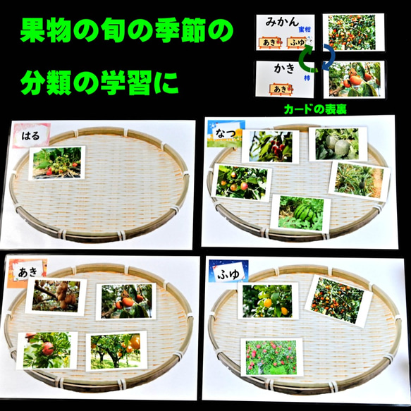 果物カードセット＆野菜(きのこ)カードセット　全50種類　生活科に　理科に　小学校受験に 7枚目の画像