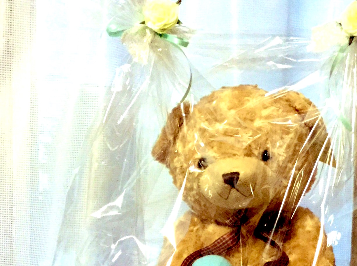 【セミオーダー】お好きなぬいぐるみをウエイトベアにします