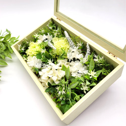 HAKONIWAーJungle アートフラワー flower closet 通販 11859533