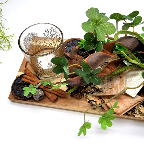 HAKONIWAーJungle アートフラワー flower closet 通販 11859533