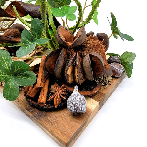 HAKONIWAーJungle アートフラワー flower closet 通販 11859533