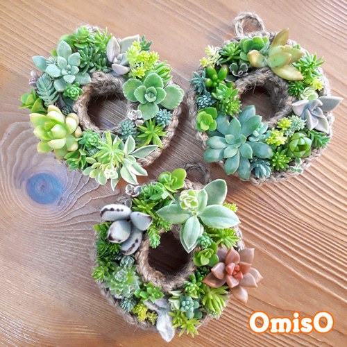 受注製作☆多肉植物 10㎝麻ひもリース土台 リース アトリエ OmisO 通販 