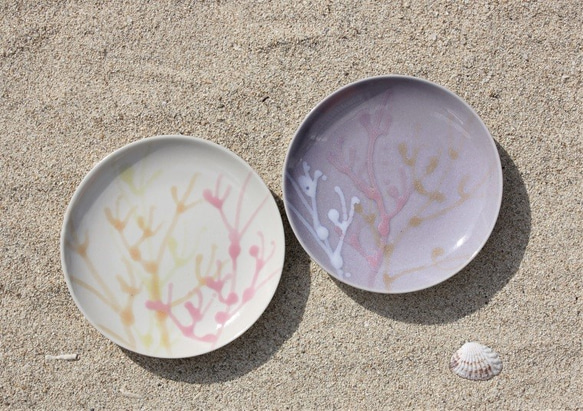 <出産祝い>縁起の珊瑚の皿2枚セット プレート 白色と薄紫色 4寸皿 結婚祝い 引出物  ボックス＆紙袋付き 5枚目の画像