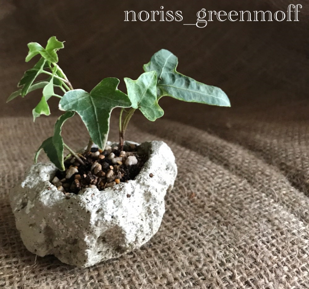 植木鉢　ハンドメイド　軽石　一点物 植木鉢 ハンドメイド 軽石 一点物