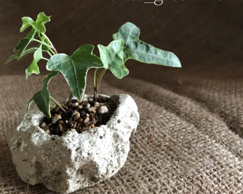 植木鉢　ハンドメイド　軽石　一点物 0_7b48d353fe9d7cc0f1d34a2b49eb