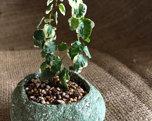 植木鉢　ハンドメイド　軽石　一点物 0_53629e4d113f41f2fd1ac8caeed1