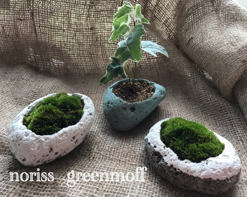 1_dd2fe34e49696414f01d02265100