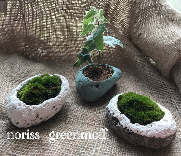 3個セット☆軽石鉢ハンドメイド♪ ☆植物付き♪【アイビー＆苔