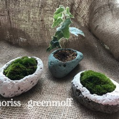 3個セット☆軽石鉢ハンドメイド♪ ☆植物付き♪【アイビー＆苔