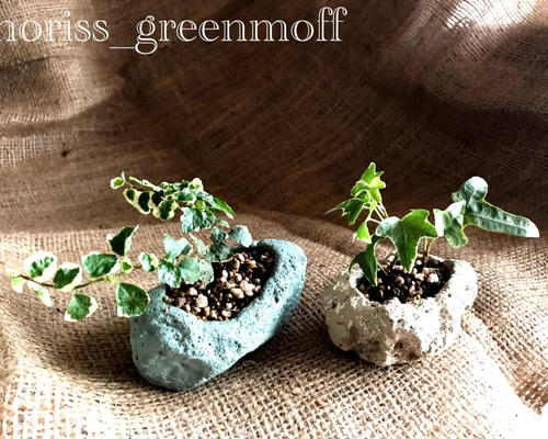 2個セット☆軽石鉢ハンドメイド♪ ☆軽石鉢のみ☆ その他インテリア