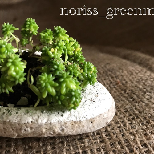 2個セット☆軽石鉢ハンドメイド♪ ☆軽石鉢のみ☆ その他インテリア