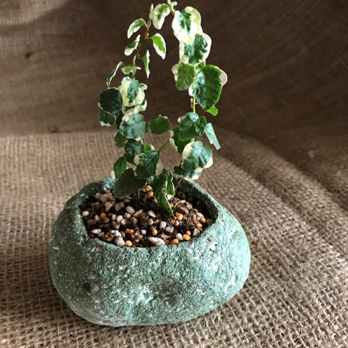 植木鉢　ハンドメイド　軽石　一点物 植木鉢 ハンドメイド 軽石 一点物