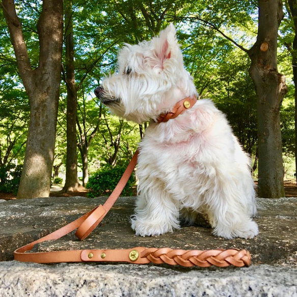 ブレイド首輪15mm/21~27cm イタリアンレザー ヌメ革 真鍮 皮膚の弱い犬に安心 3枚目の画像