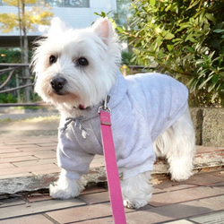 Sサイズ  旧商品 ドッグ スウェットパーカー  小型犬  あったか裏起毛素材　ロゴワッペン付き　 2枚目の画像