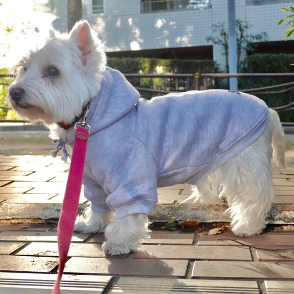 XXLサイズ  旧商品 ドッグ スウェットパーカー  中型犬  あったか裏起毛素材　ロゴワッペン付き　 3枚目の画像