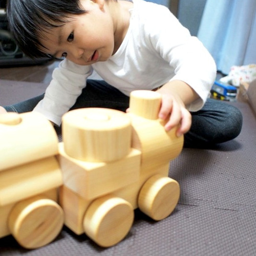 汽車つみき 諸戸百年檜 てらうちさだおの木のおもちゃ グッドデザイン