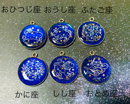 12星座ネックレス✨ ネックレス・ペンダント あゆみん