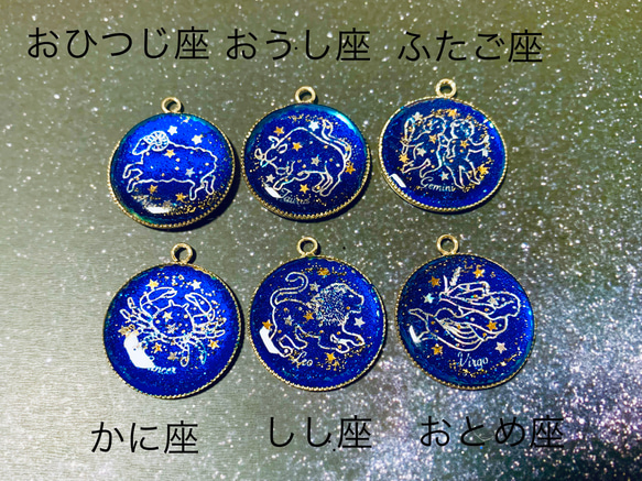 12星座ネックレス✨ ネックレス・ペンダント あゆみん