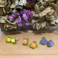 《春陽》 |蠟菊、繡球花 第4張的照片