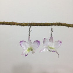 《水晶蘭花2》立體真花製作垂墜耳環 第2張的照片