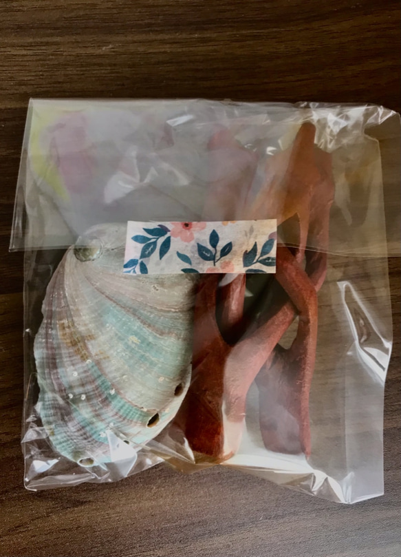 希少な【レッドアバロンシェル】&【天然木の台座】SET 3枚目の画像