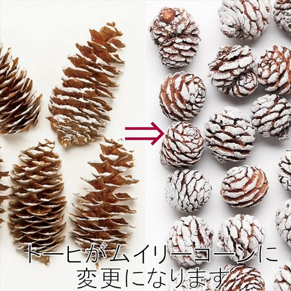 木の実たっぷり クリスマスリース＜りんご・ドングリ＞プリザーブドフラワー Creema限定 4枚目の画像