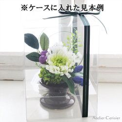 輪菊の仏花 SSサイズ（紫白菊）お供え花 プリザーブドフラワー 3枚目の画像