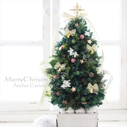 【Creema限定】プリザーブドのクリスマスツリー＜Ｍサイズ＞ピンク 1枚目の画像