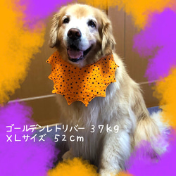 中型犬〜超大型犬用もくもくスタイ♥Halloweenのお茶会柄(パープル) ✕ 星柄♥リバーシブル 4枚目の画像