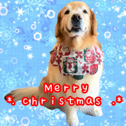 中型犬〜超大型犬用もくもくスタイ♥パッチワークXmas柄(ピンク) ✕ 星柄(グリーンまたはレッド)♥リバーシブル 4枚目の画像