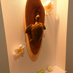 ウミガメ、ホヌ　壁掛けタイプ  インテリアオブジェ　ハワイアン 3枚目の画像