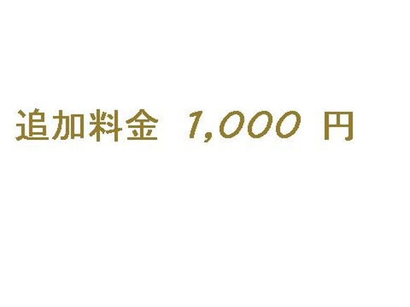 オーダー追加料金 1,000 円 1枚目の画像