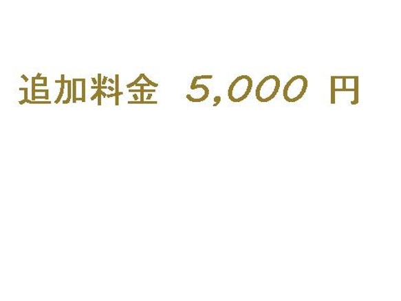 オーダー追加料金 5,000 円 1枚目の画像