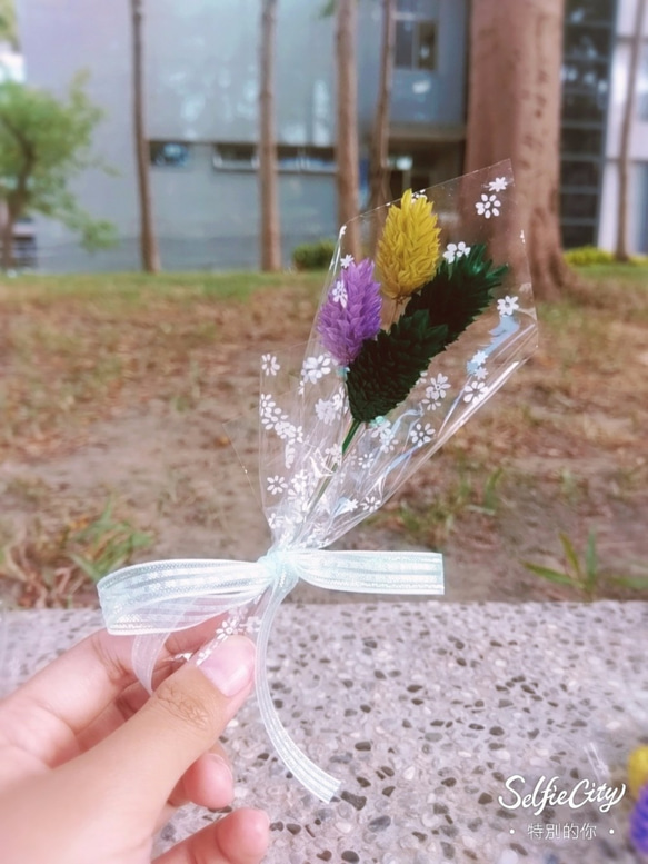 ❁花禮❁  迷你田園小花束 (單售) 第2張的照片