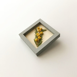 植物標本のブローチ 《mimosa》 グレーフレーム 3枚目の画像