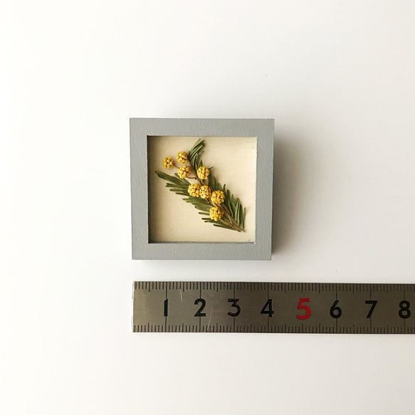 植物標本のブローチ 《mimosa》 グレーフレーム 4枚目の画像